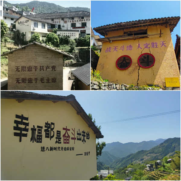 http://m.lvdkj.cn/hsdt/234.html